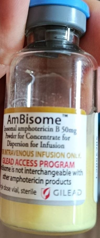 Амбизом / AmBisome (амфотерицин B) лиофилизат д/приготов. р-ра д/инф. 50 мг во фл., Gilead Sciences - фото
